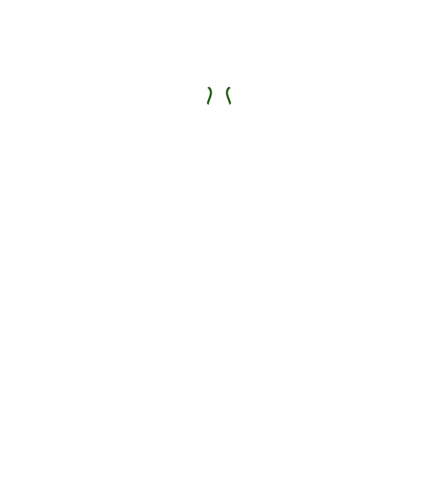 Padel Society